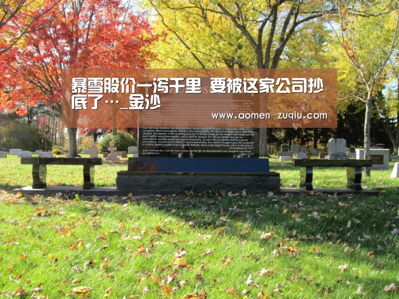 暴雪股价一泻千里 要被这家公司抄底了…_金沙(图2) 金沙