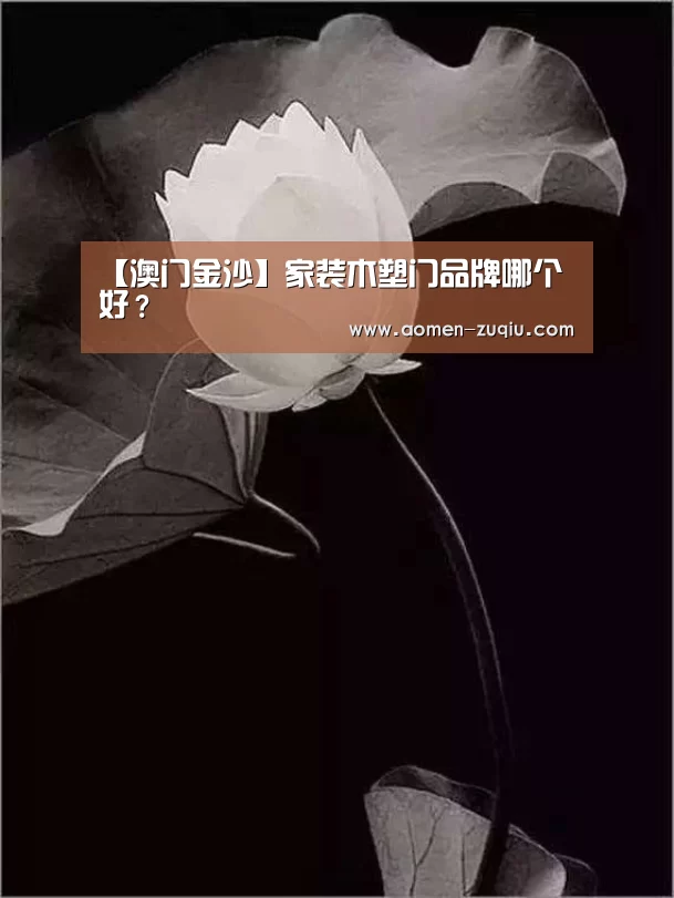 澳门金沙